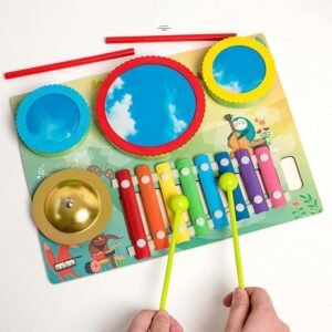 Brainy Bugs Wooden Zither Drum Musical Set
